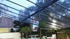 Toldo Transparente 1